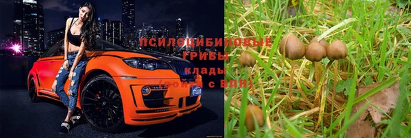 экстази Алексин
