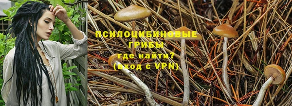 а пвп мука Армянск