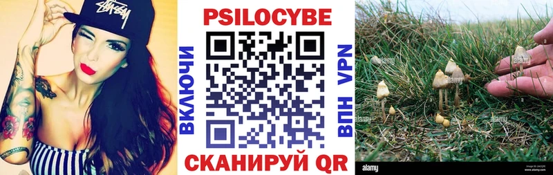 Псилоцибиновые грибы мицелий  гидра ссылка  Бугуруслан  наркошоп 